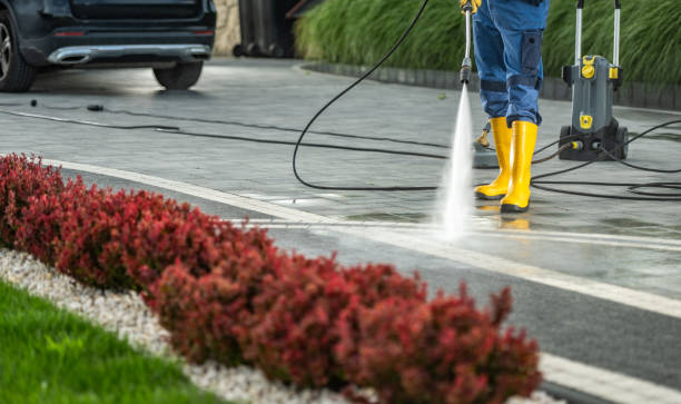 Best Roof Washing  in Ipswich, SD